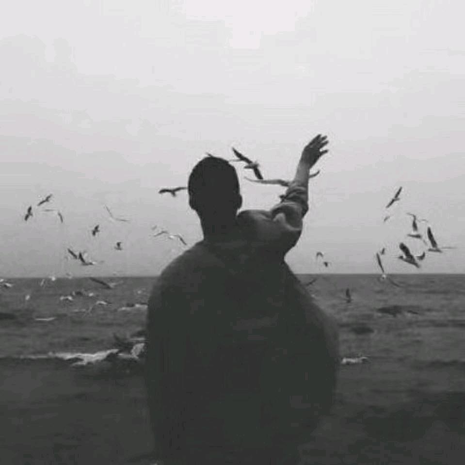 小凯同学_