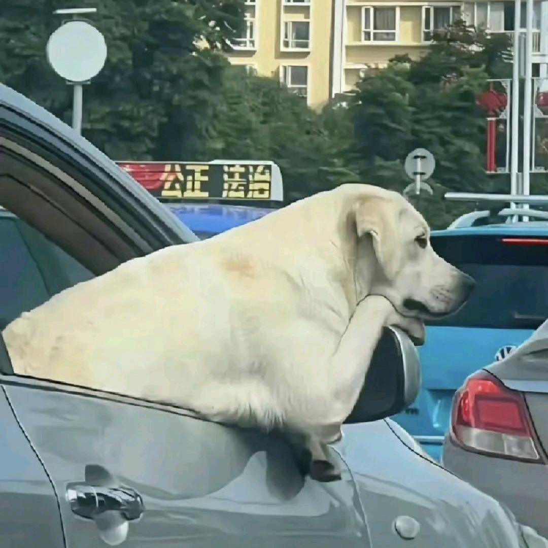 一块大砖头