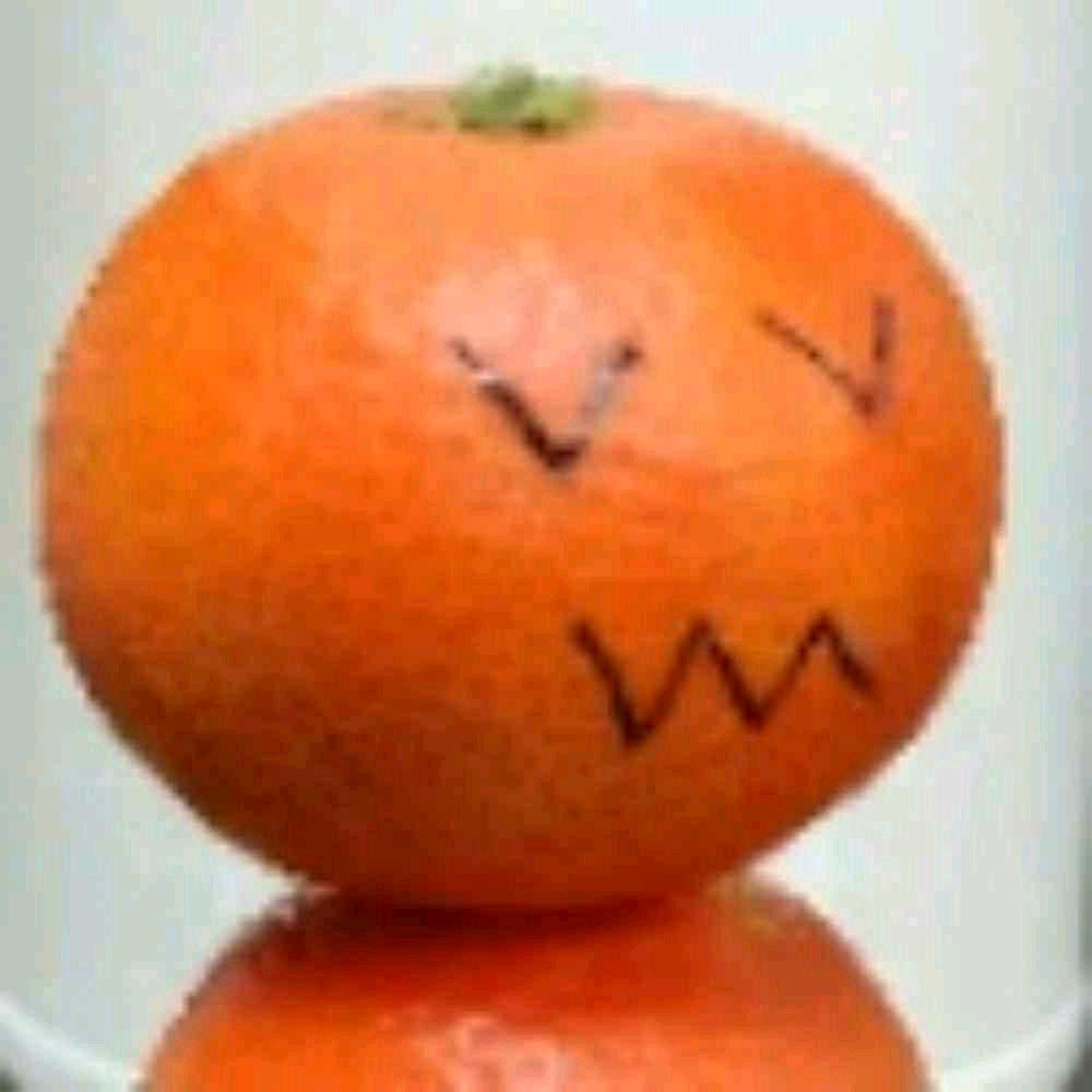 孤独的根号仨儿