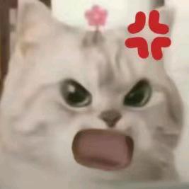 小明学长