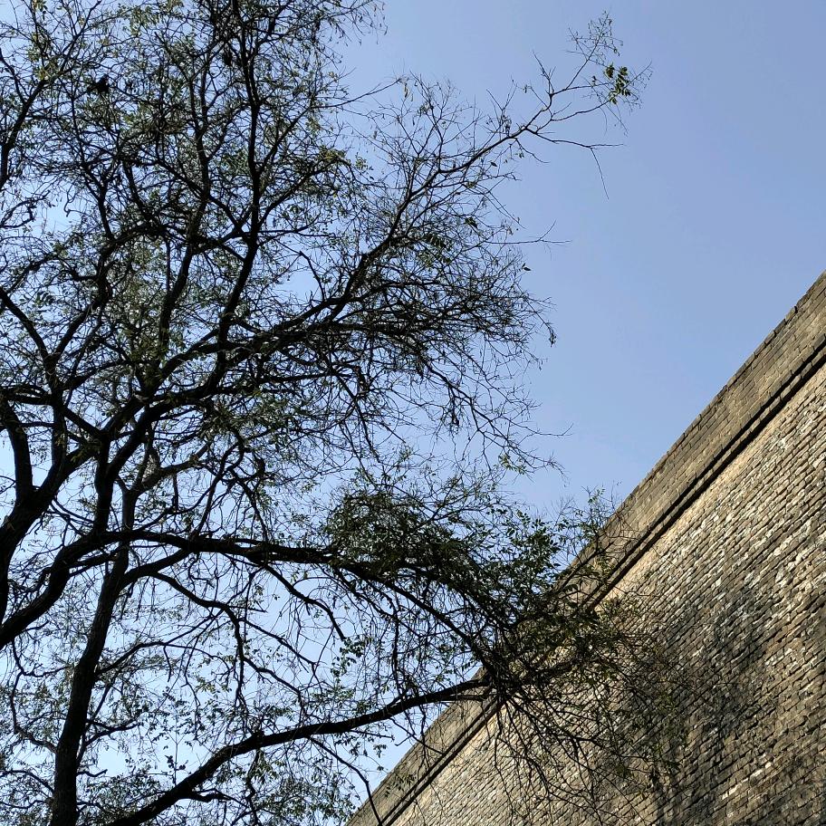 遥望雅鲁藏布江