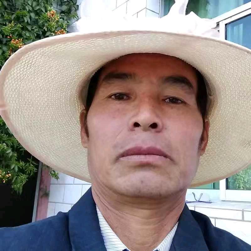 你若安好，便是情天