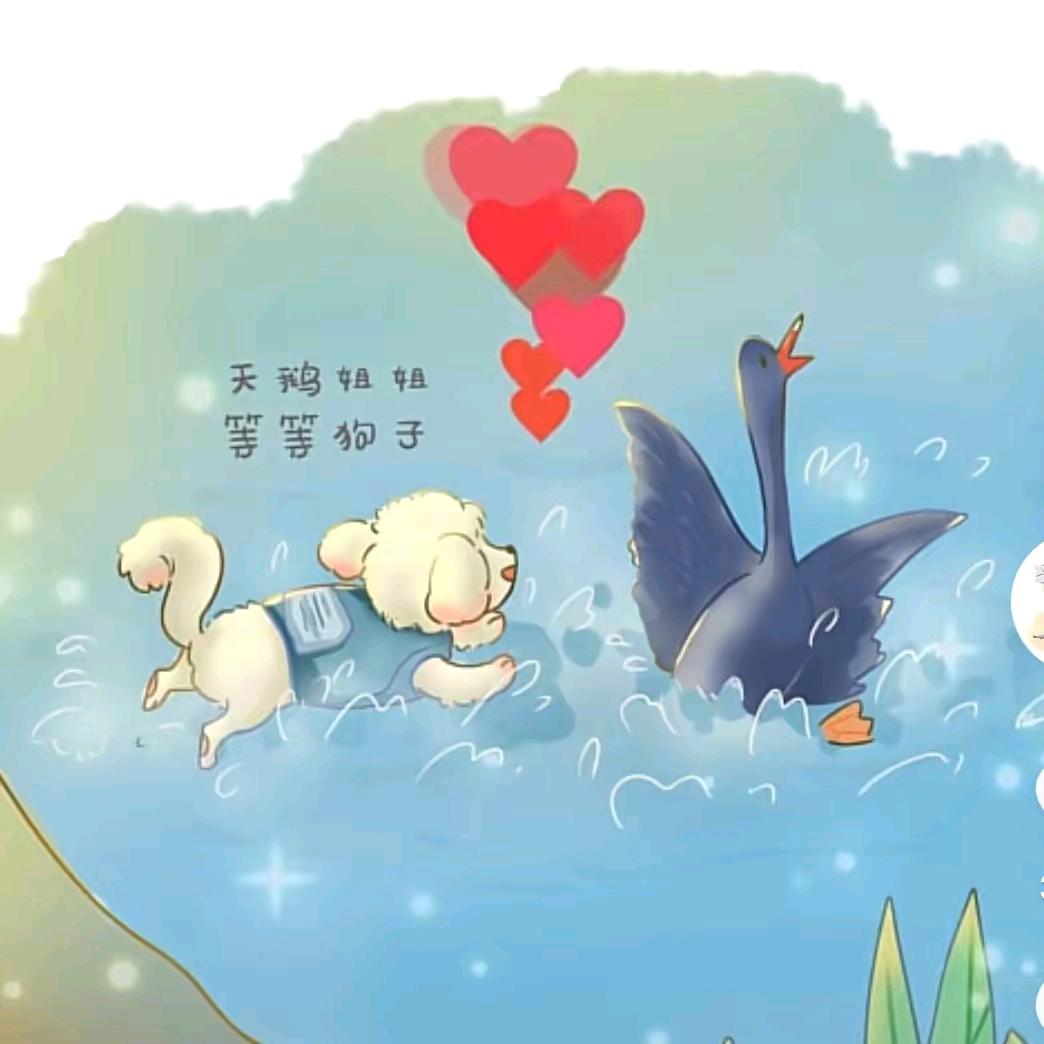 《我来人间一趟》