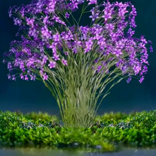 独一无二的你（1818）