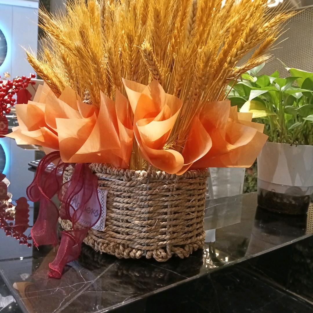 开发商壹手房代理安伶霞