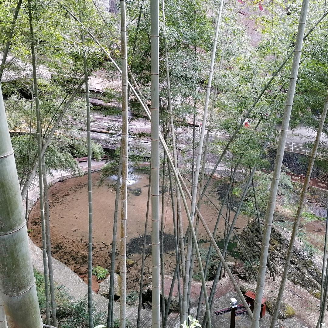 周禄章