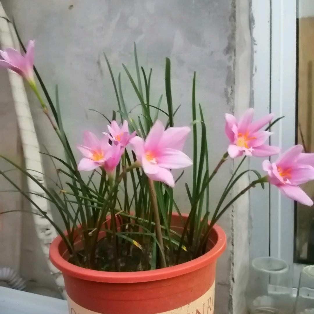 下辈子不一定遇见你