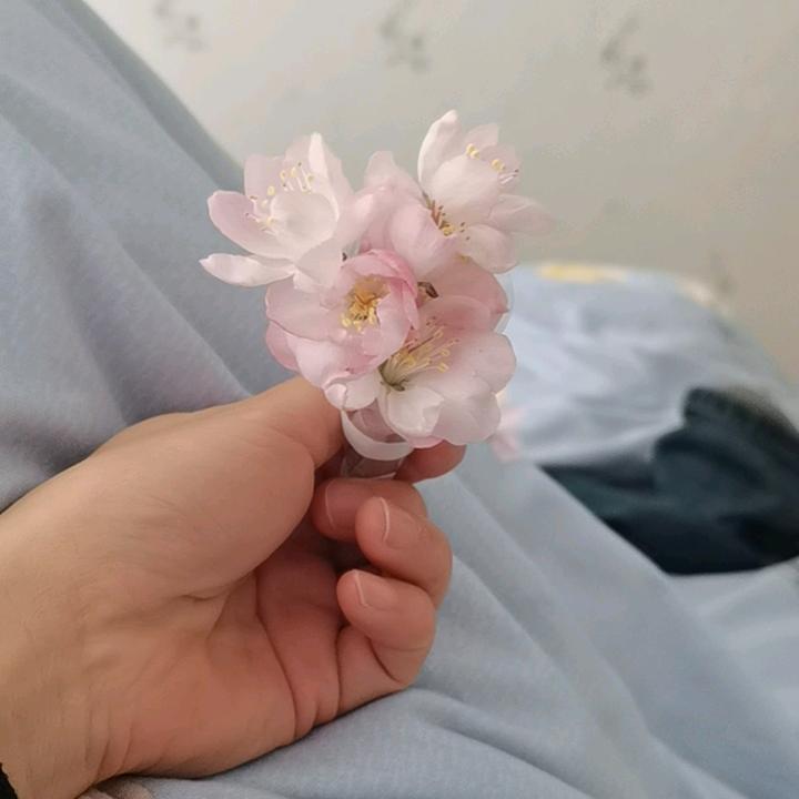 柒月
