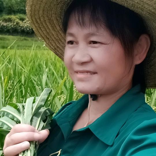 农村宋姐