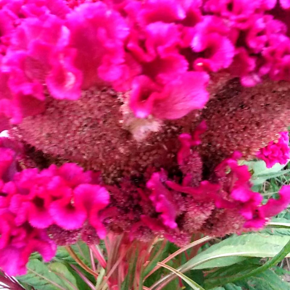 ༺不会ꦾ说谎🥀的້໌ᮨ泪ꦿ҉࿐