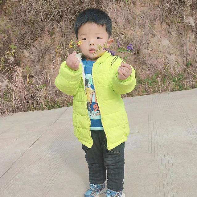 南瓜