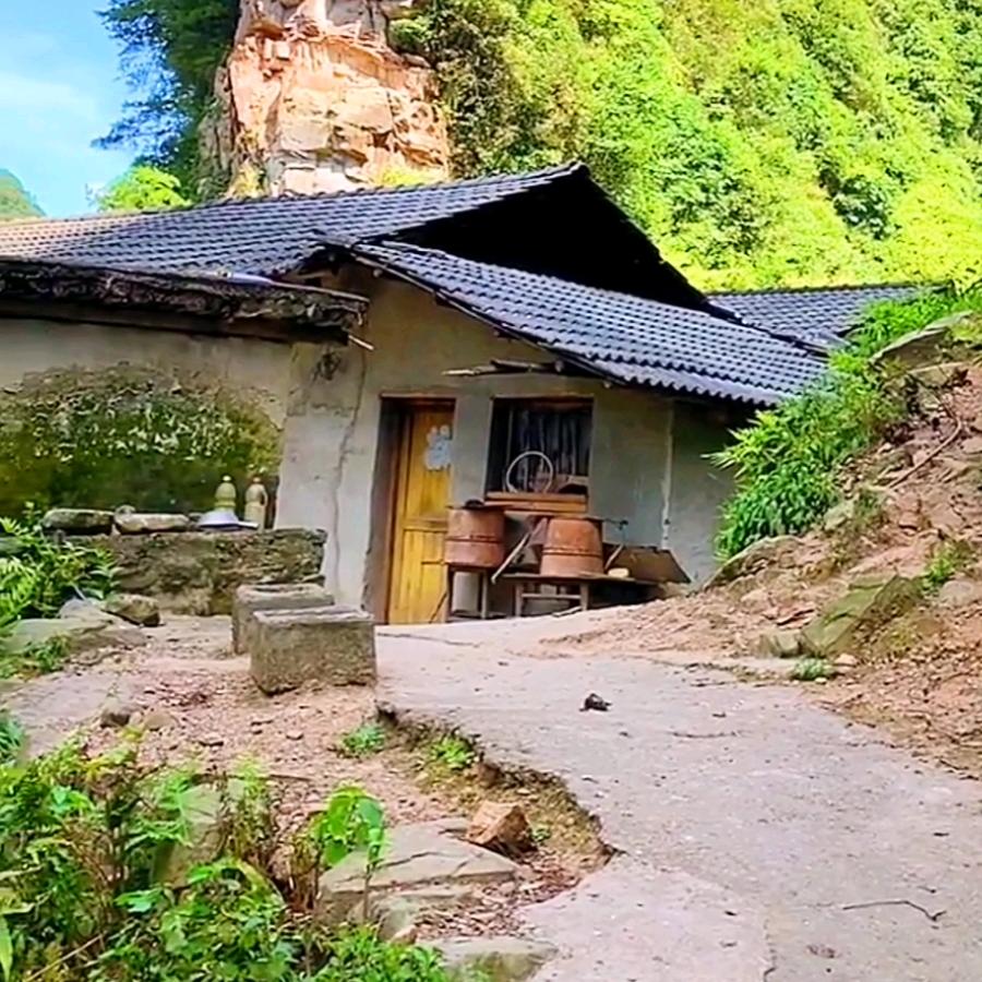 喜欢玛林巴的葛建斌头像