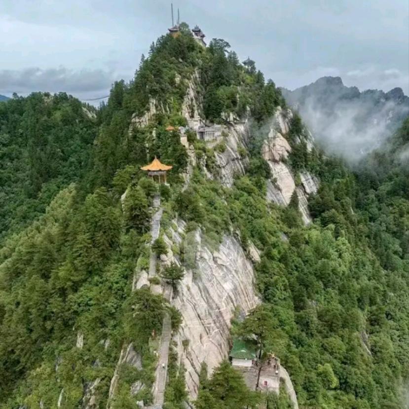 龙哥