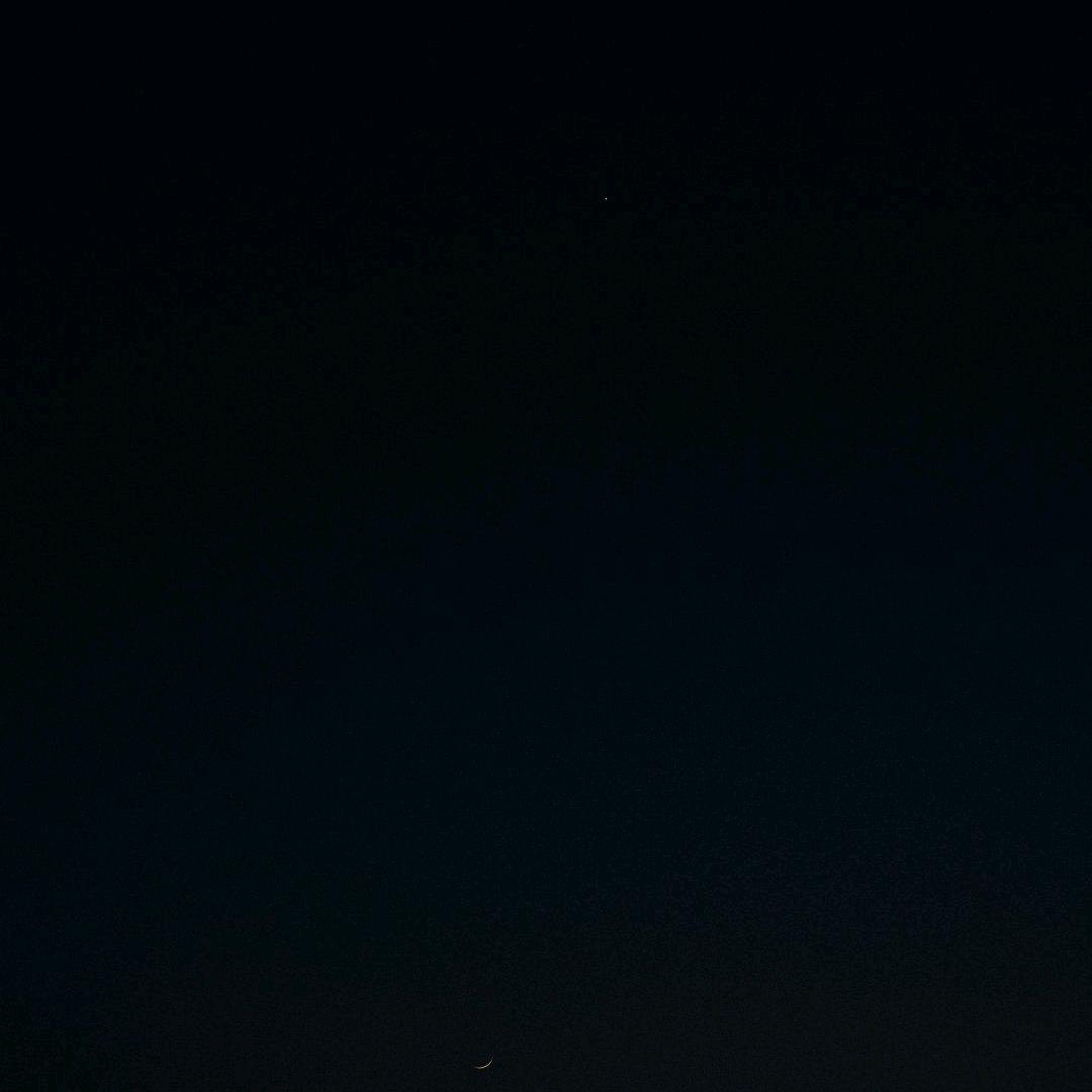black头像