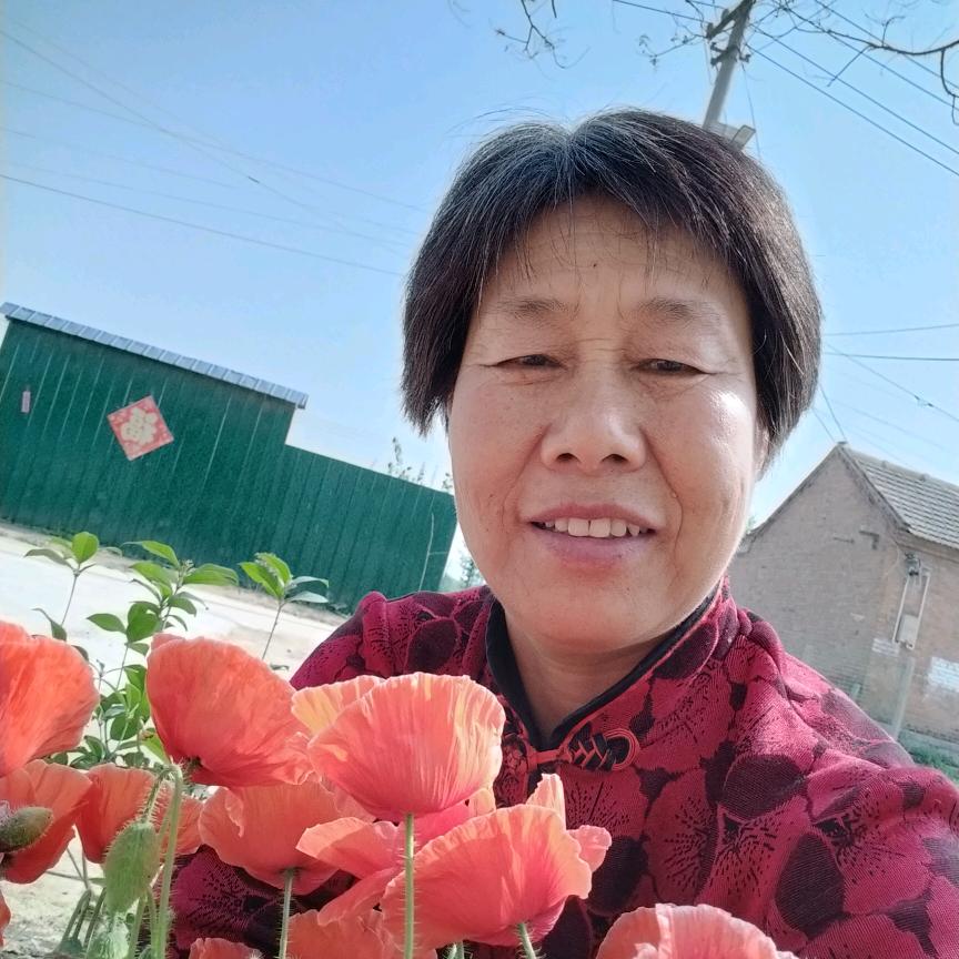 农村高姐