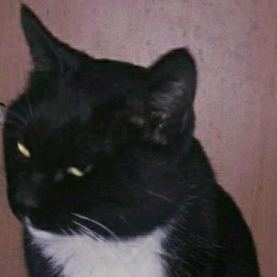 爱妞心挚爱至爱美丽娟媛的小闲