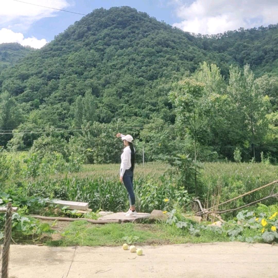 杨兰❤