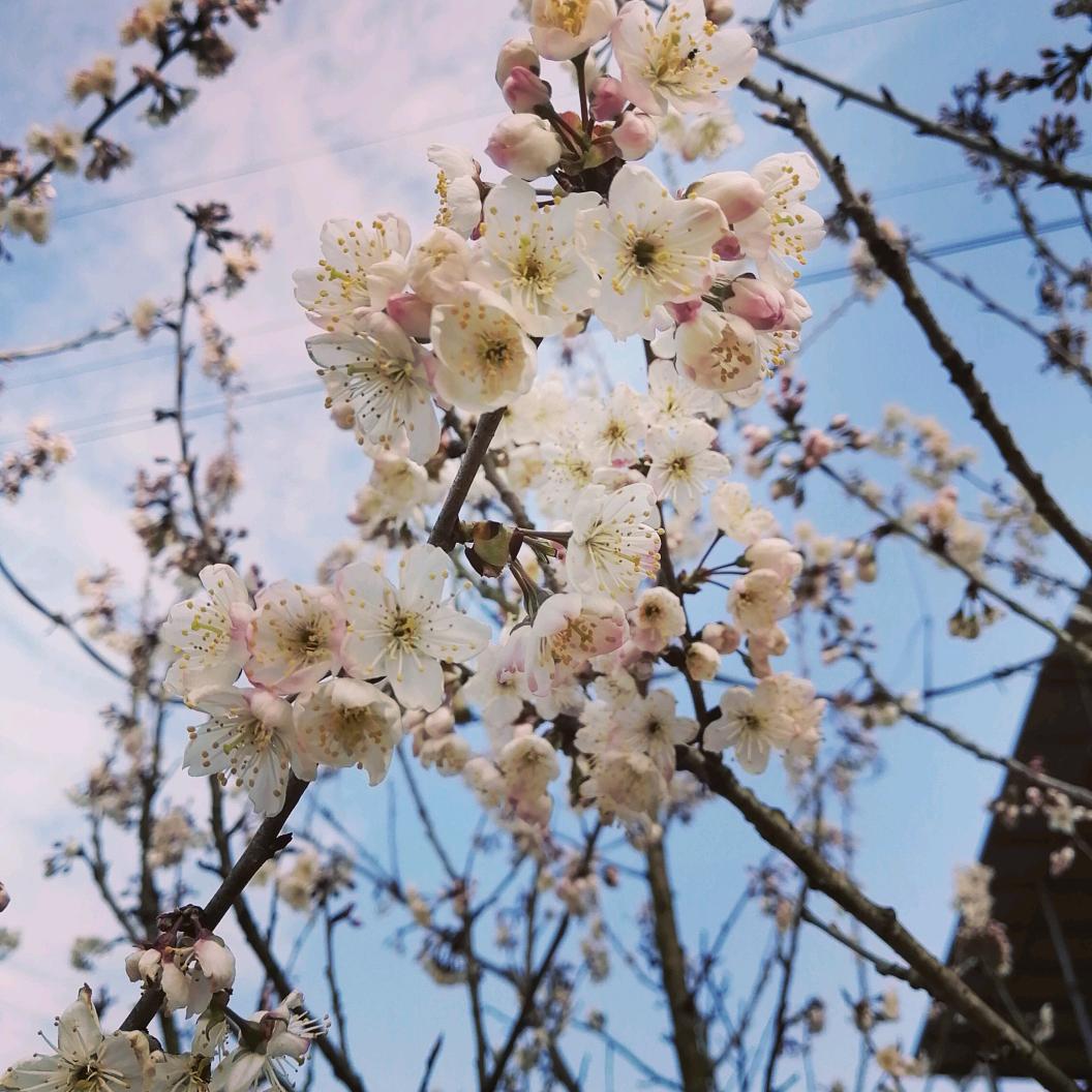 ℳঞᩚ往事清零ꦿ᭄࿐