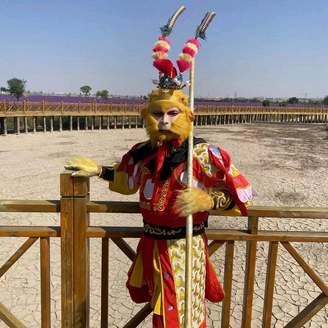 新区美猴王智能锁批发