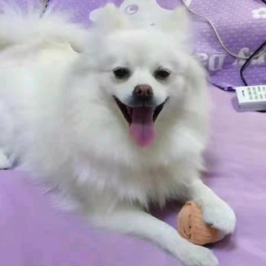 人饥渴吋欲望只有一个