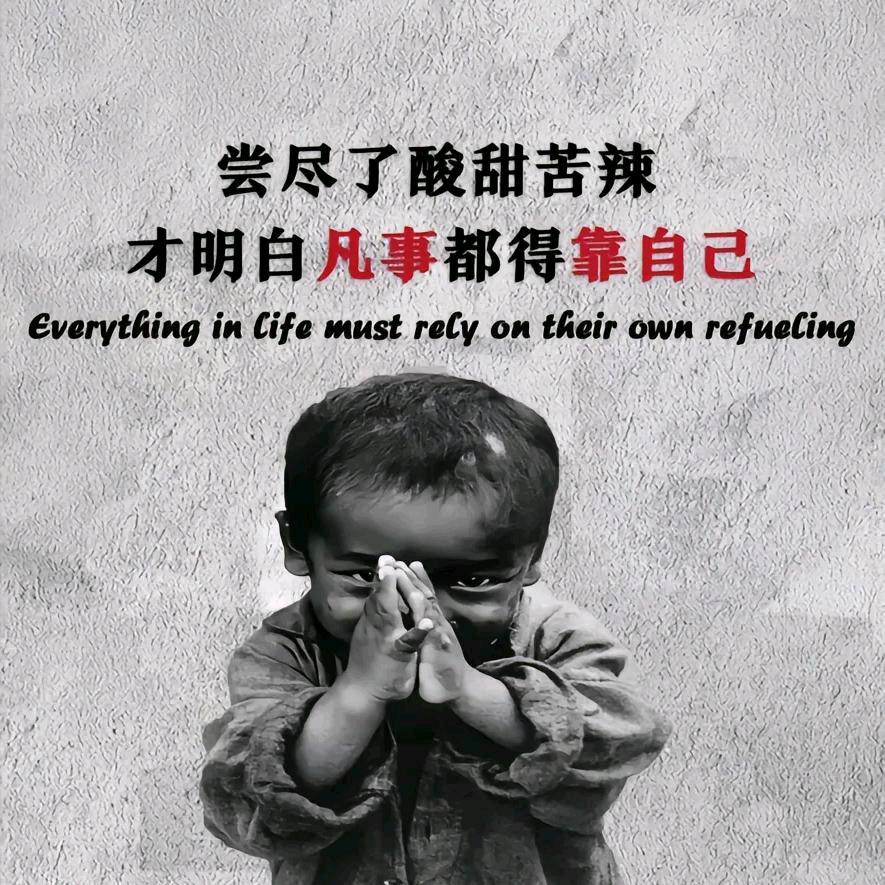 🌹🌹一清二白🌲🎄