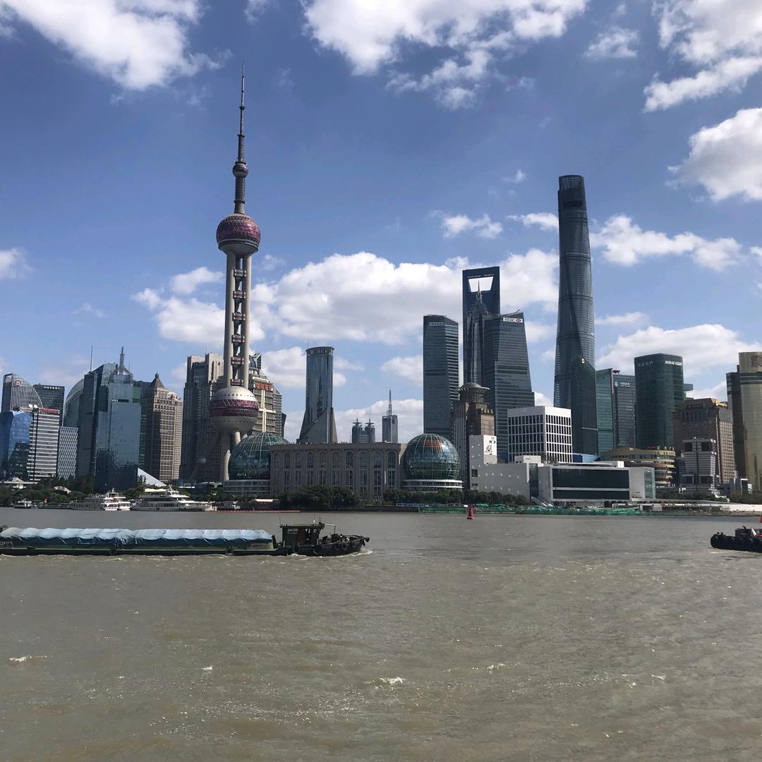 本欲向佛,无奈成魔