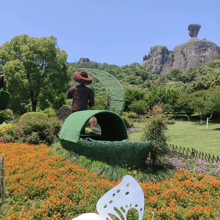 快乐人生🌾🌾🌾🌴🌴🌴