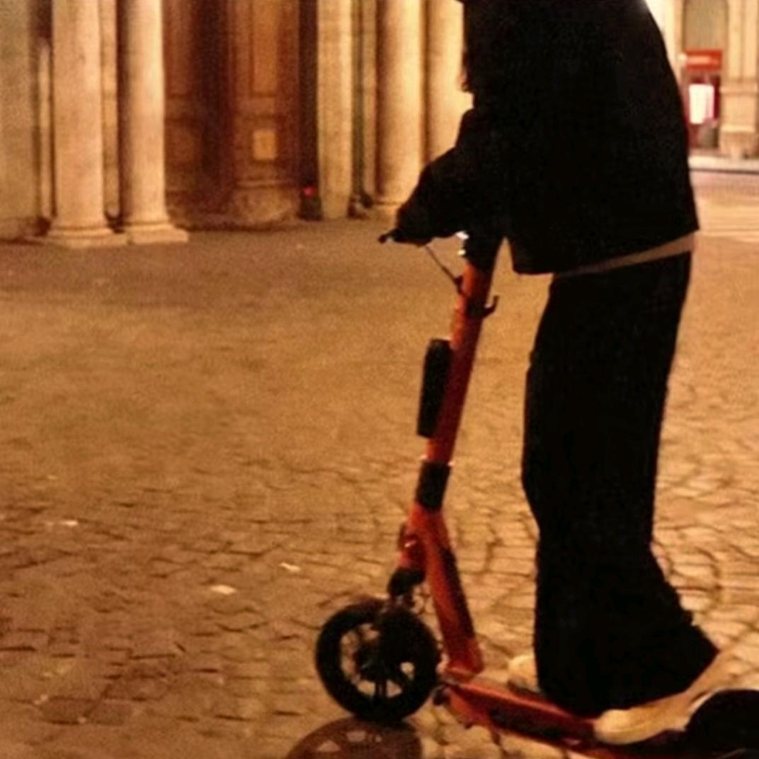 AAA花鸟鱼龟水族馆支姐