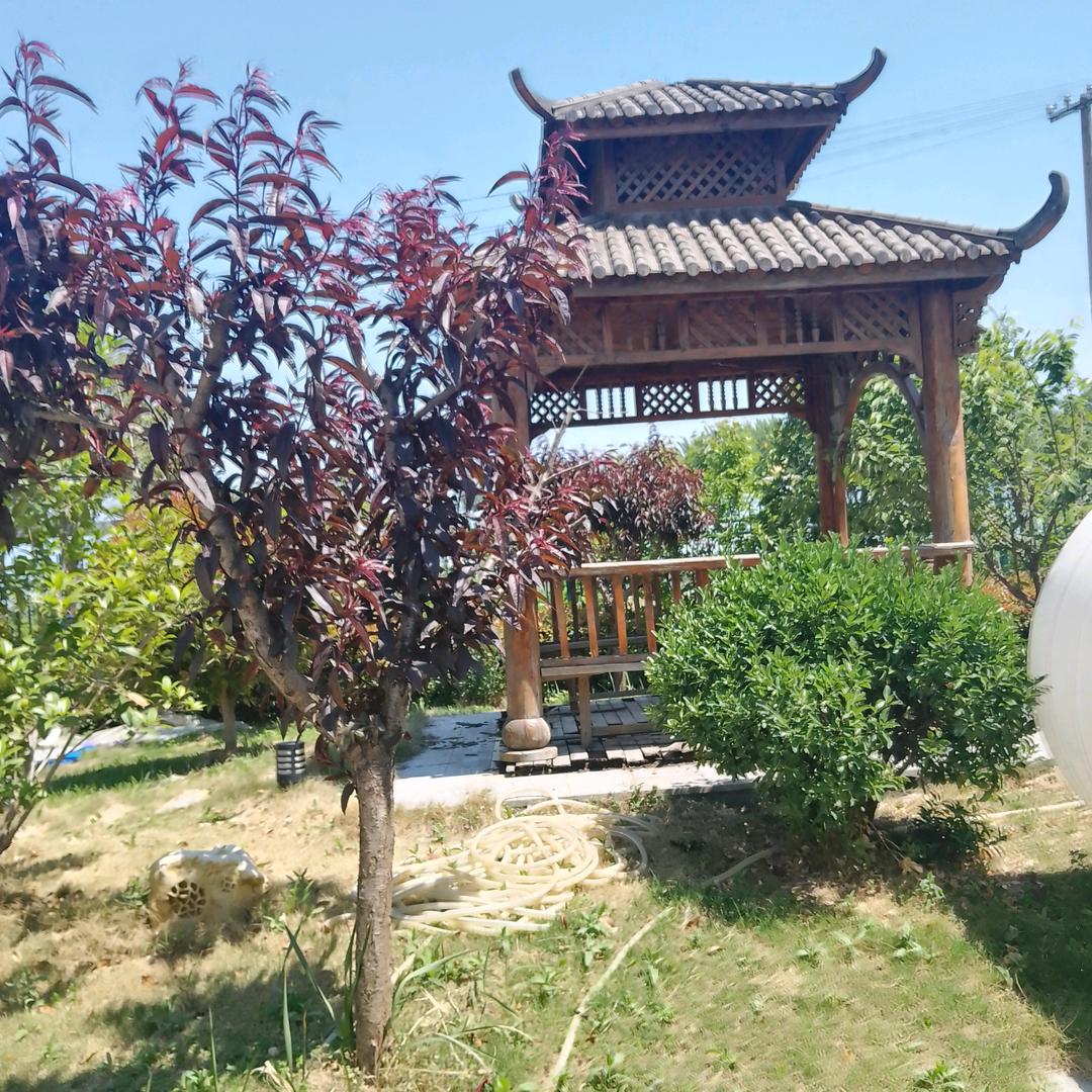 平安喜乐.