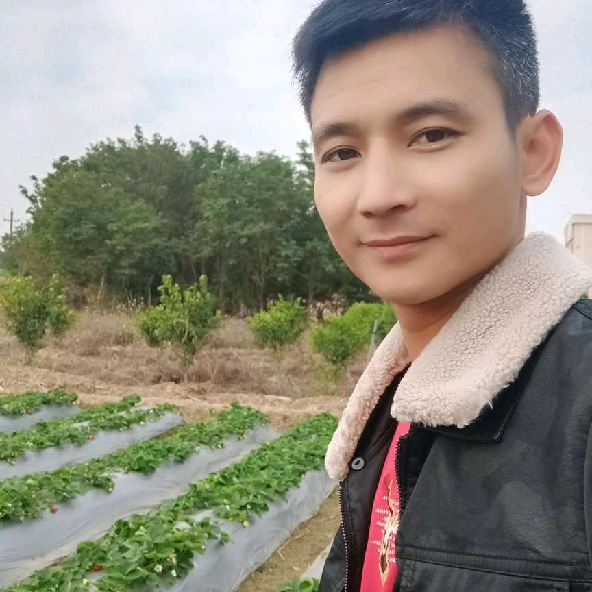 波少po