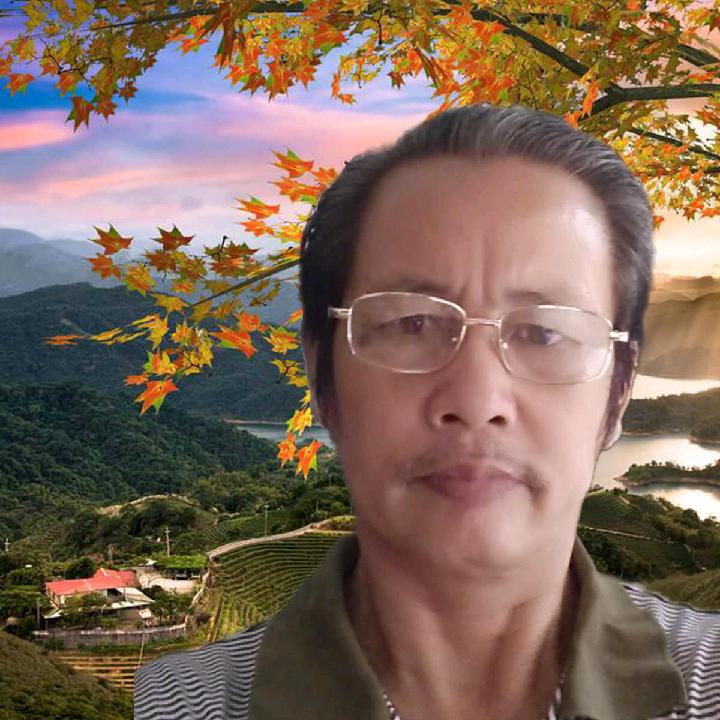 时光如梦