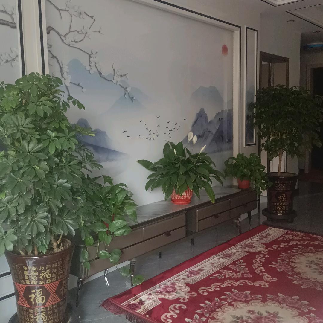 鹅