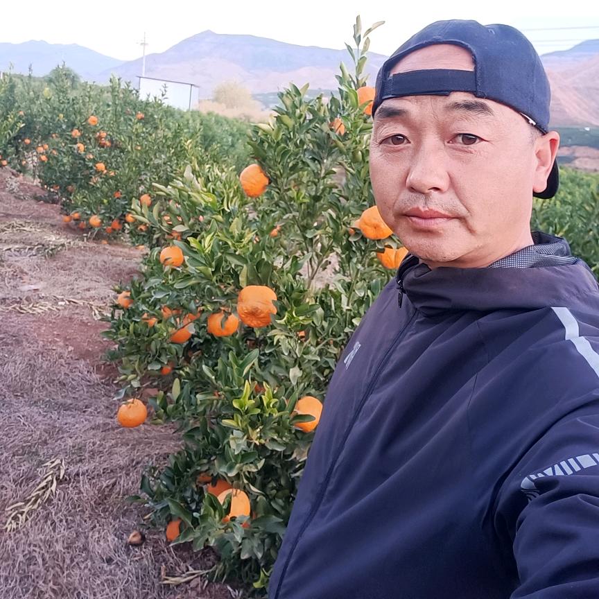 飞上天空的羊，专一土建工程，房屋装修