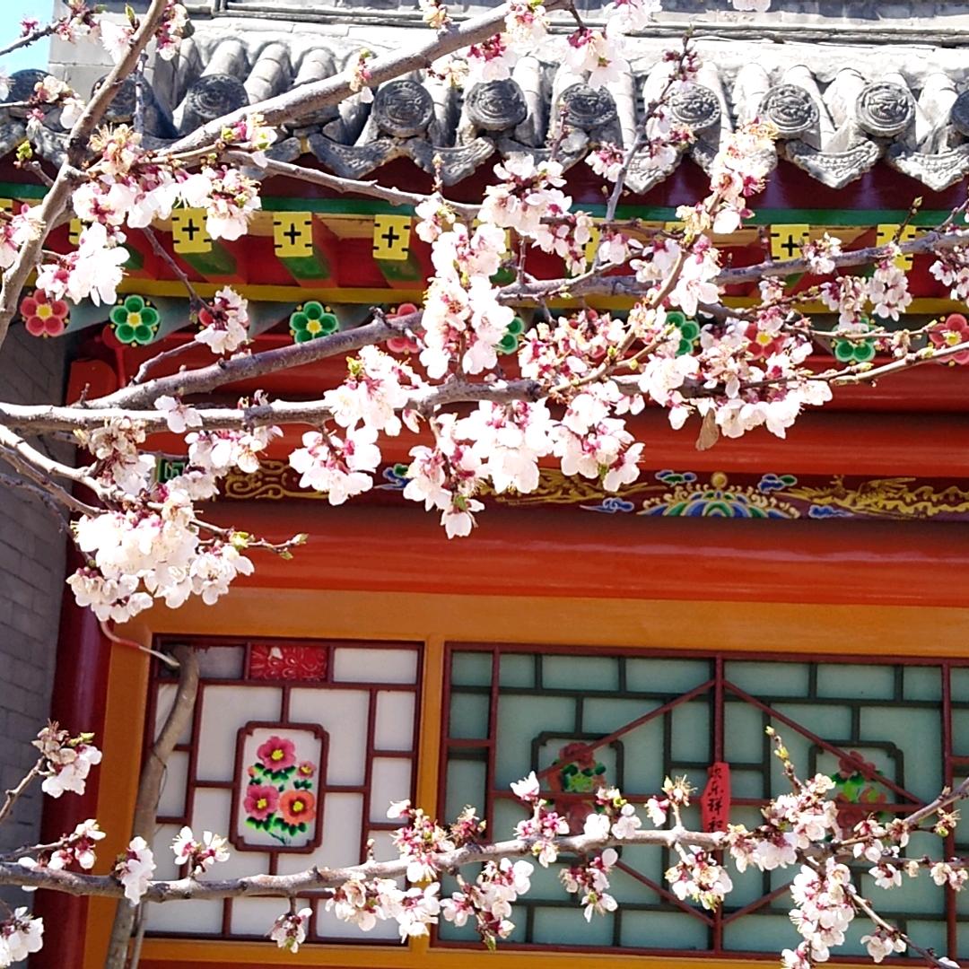 雁门大叔