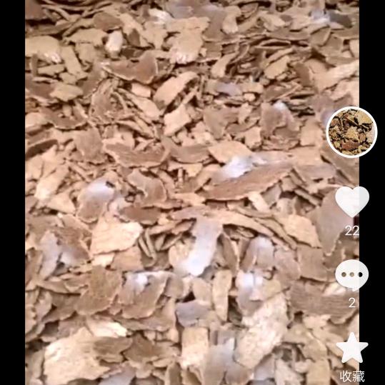 灰灰百善孝为先