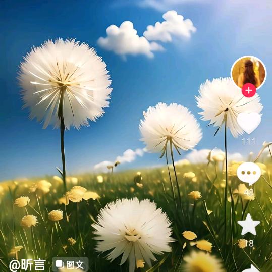 洞口多喜爱小研