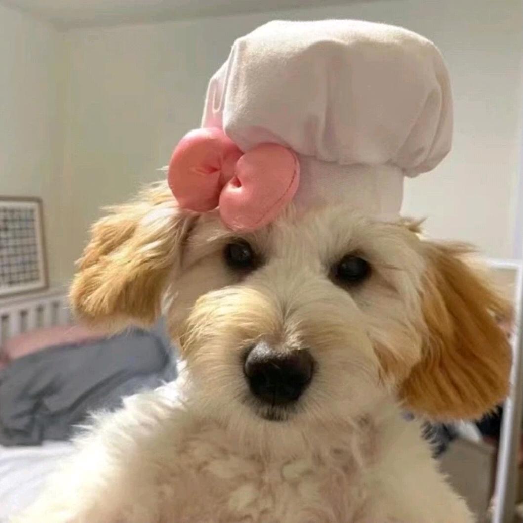 痔疮小汁