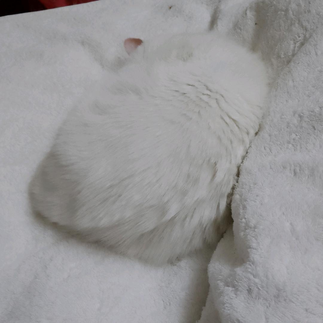 用户2027569947813