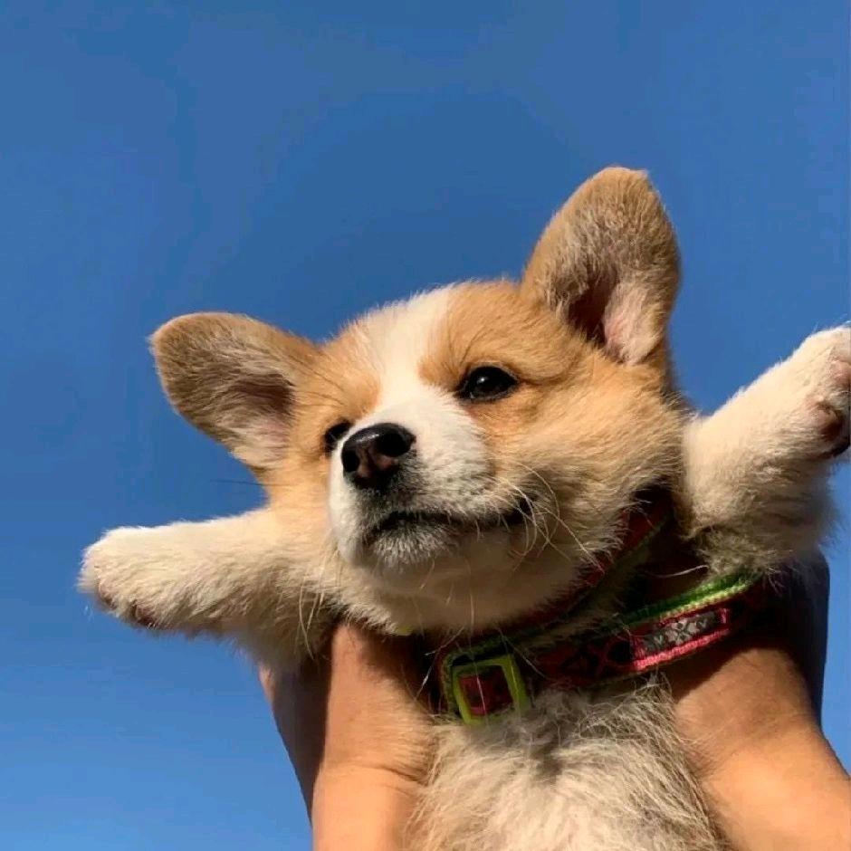 林默