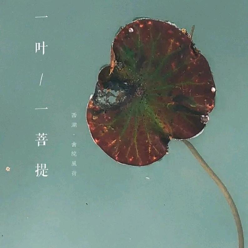 周末加班