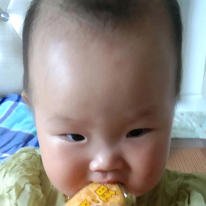 慧年