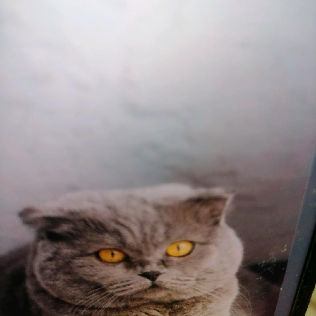 尚谷春丰