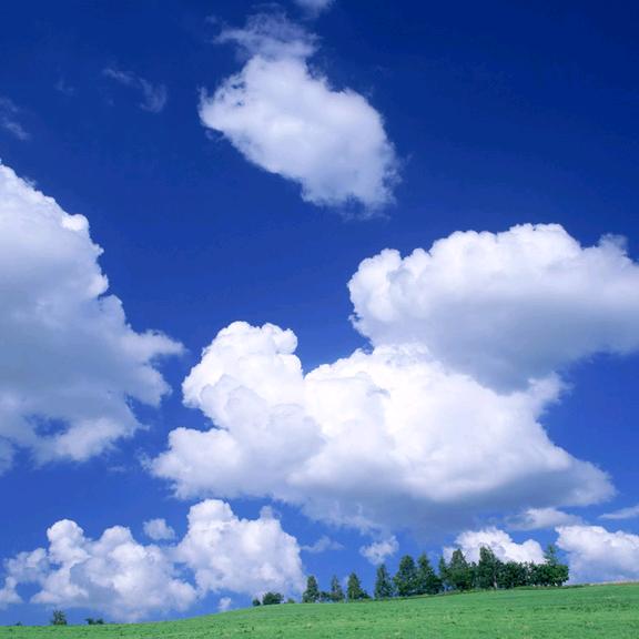 好运来开业庆典