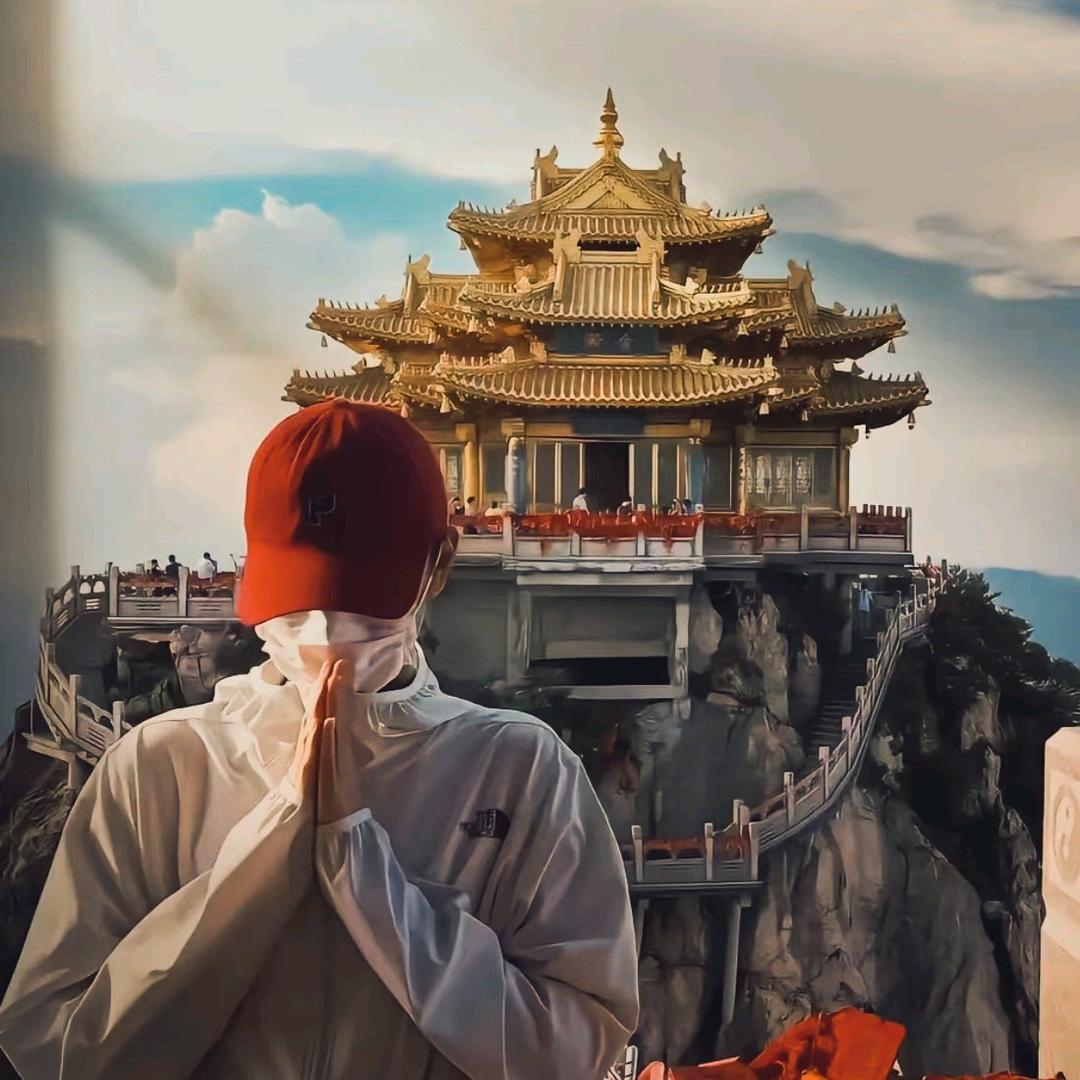 杨公子
