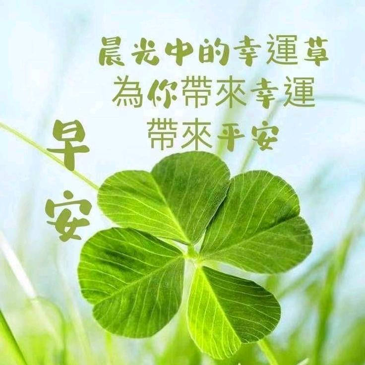 英子