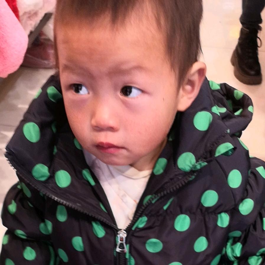 农村生活号