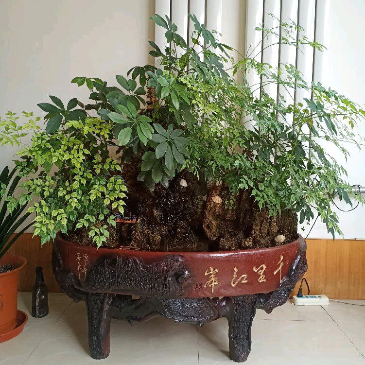 斌哥蔬菜🥦🥬