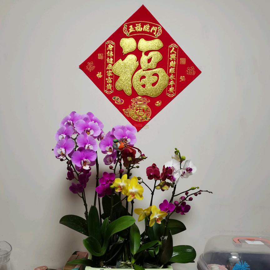 草林