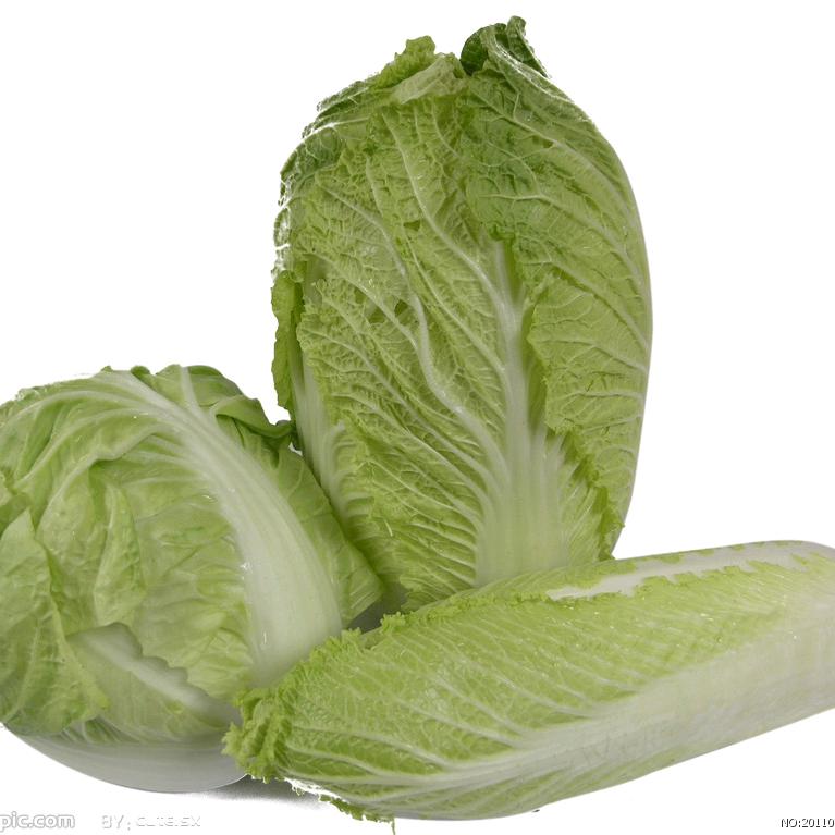 白菜的菜
