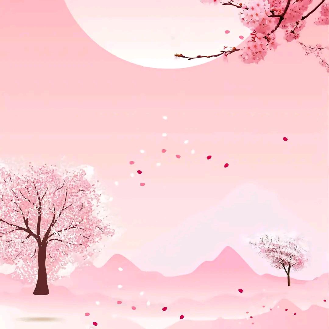 小七